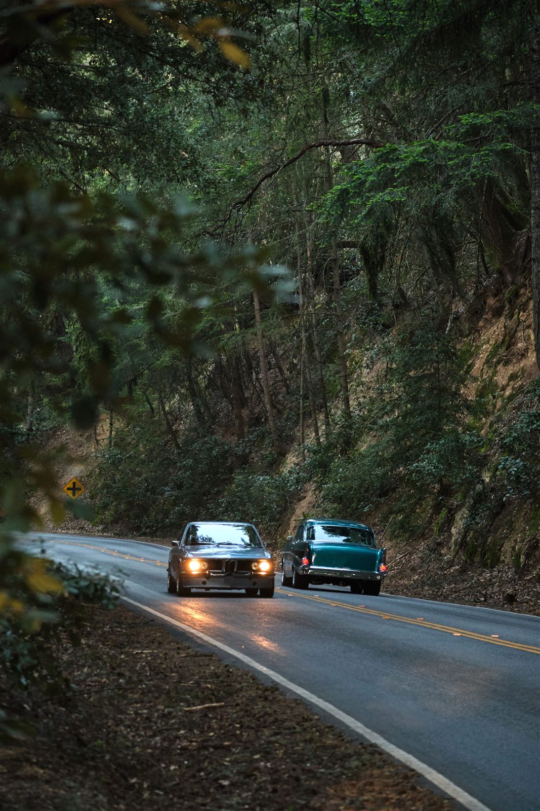 Vehículos clásicos circulando por una carretera de bosque